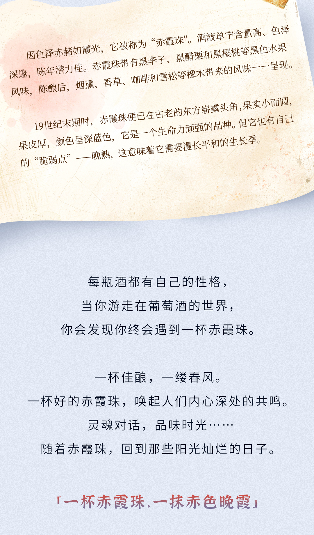 长图_02.jpg