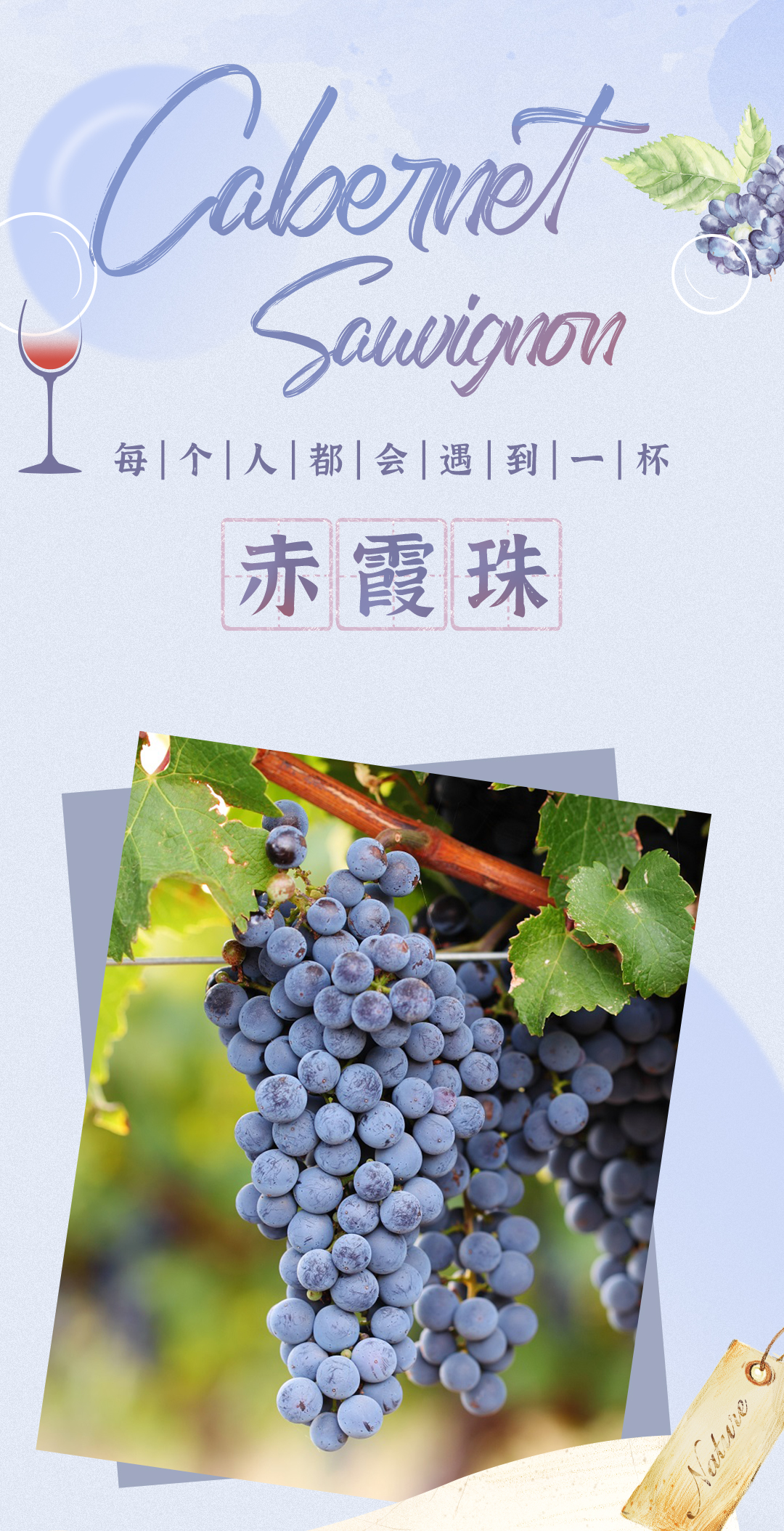 长图_01.jpg
