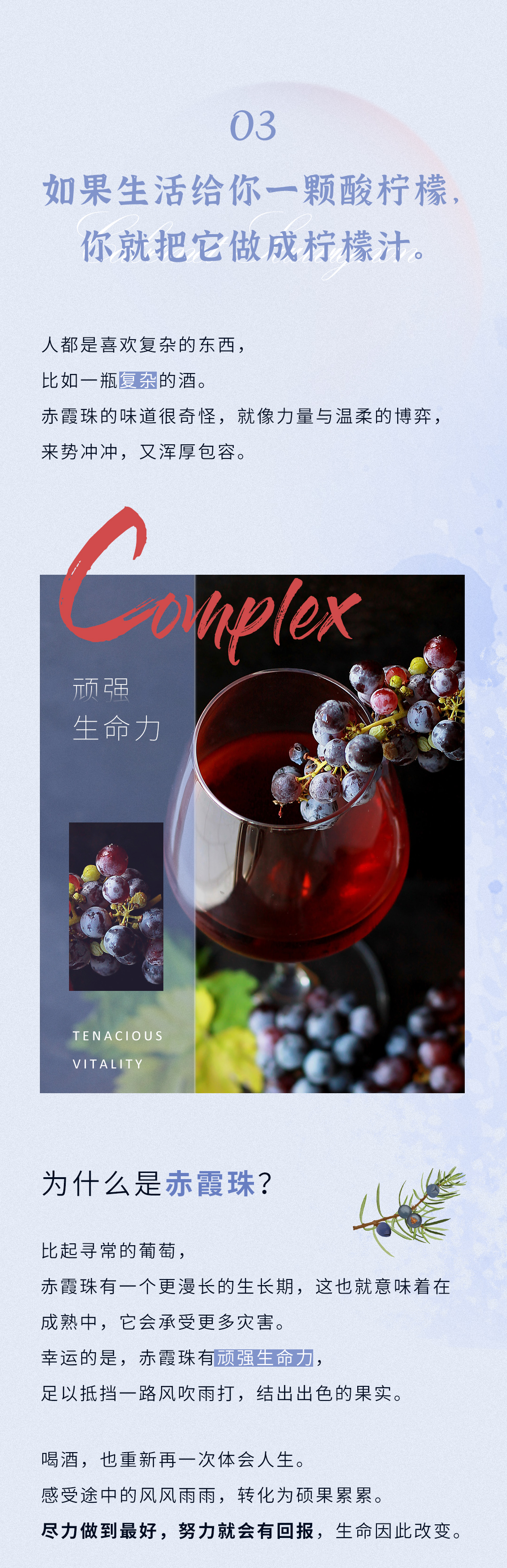 长图_05.jpg