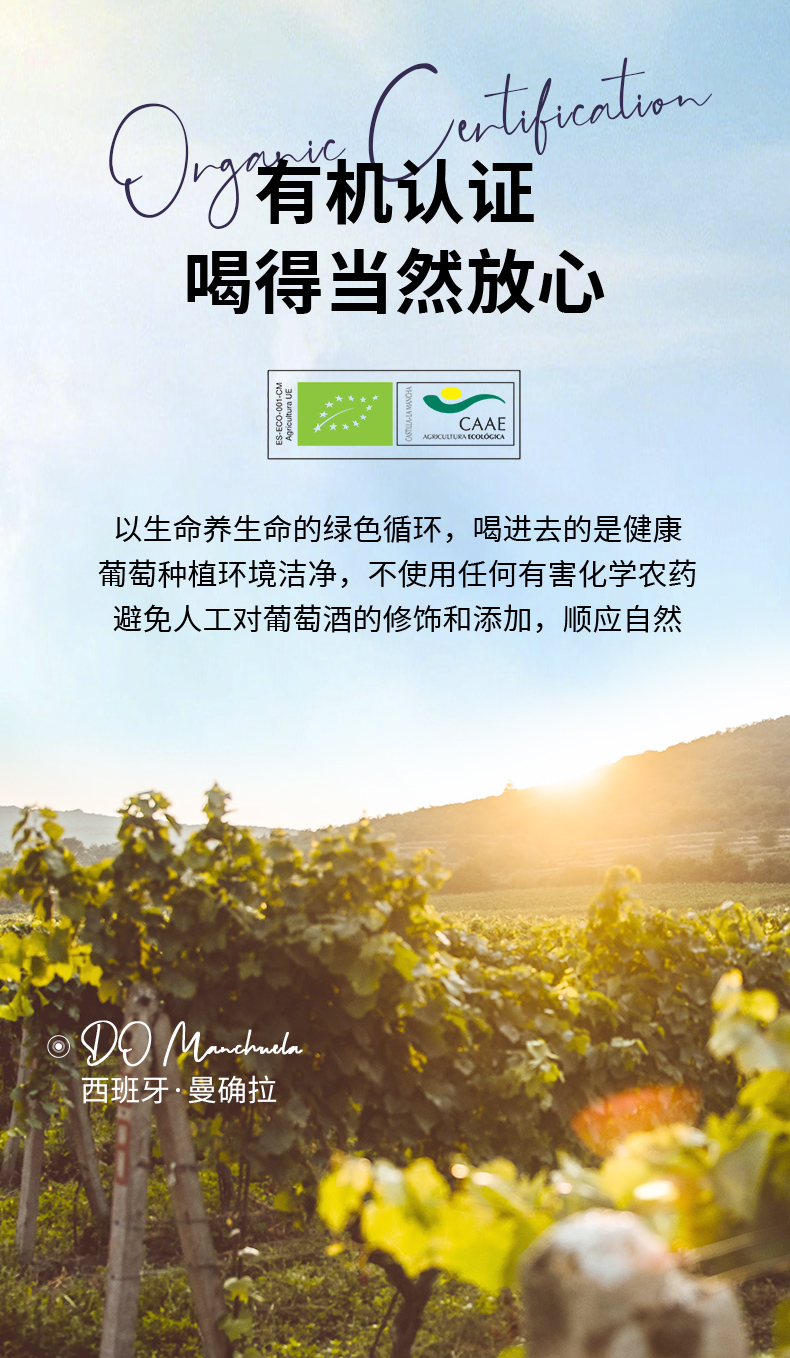 790详情_03.jpg