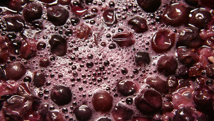 葡萄酒的二氧化碳浸渍法与半二氧化碳浸渍法