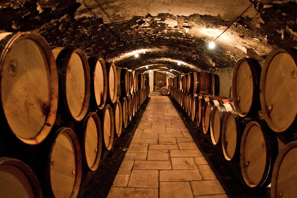 橡木桶对葡萄酒的作用